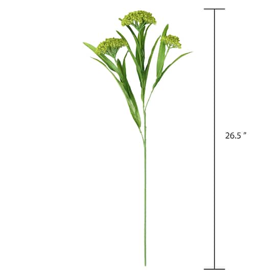 Green Queen Anne's Lace Stem by Ashland®